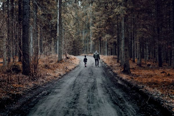Rodzinne wyjście do lasu: przygoda na każdą porę roku