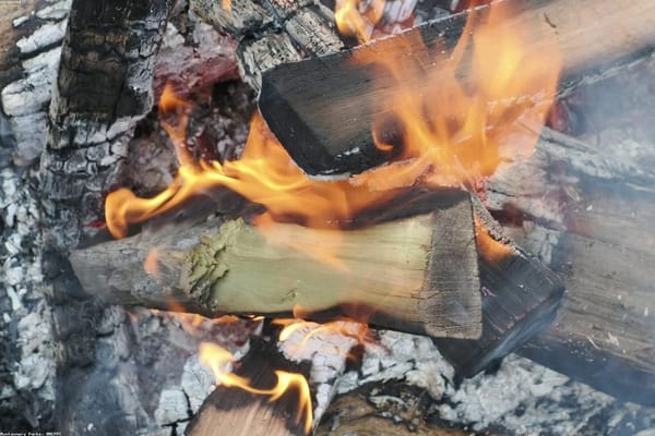 Wakacje z dziećmi w domu: jak przetrwać lato bez fortuny i bez nudy